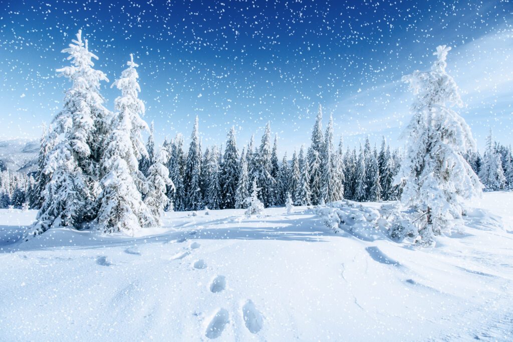 Bildet viser et vinterlandskap